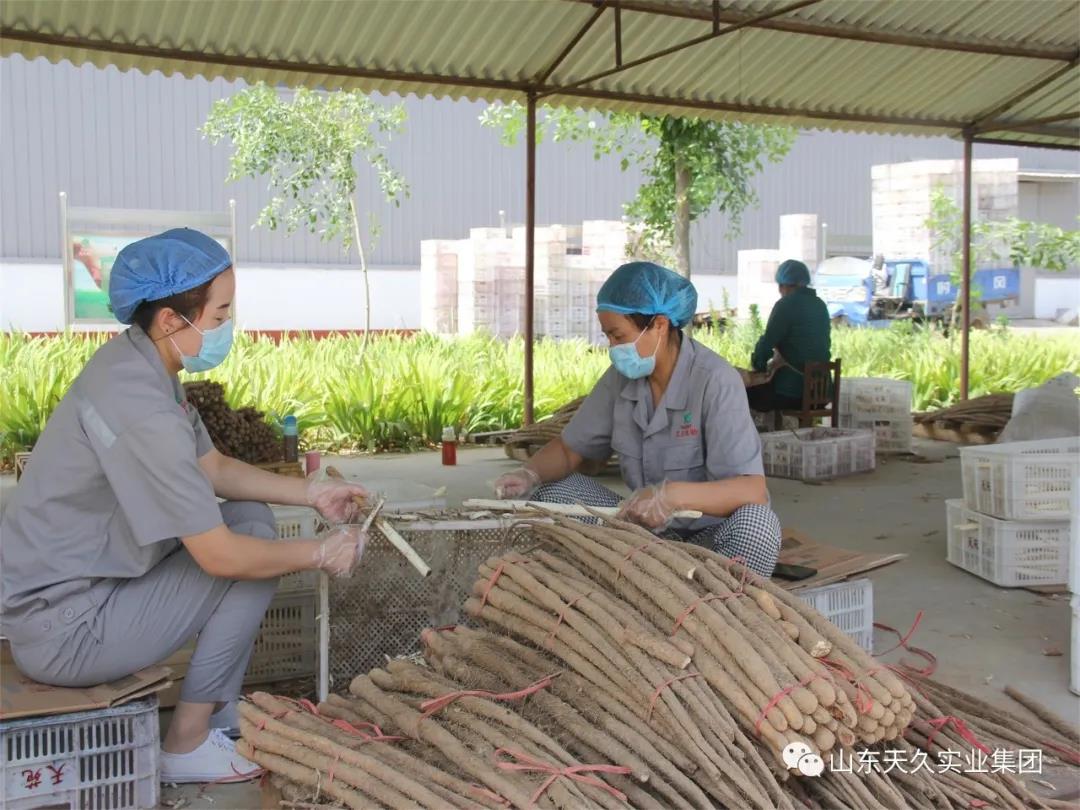 天久實(shí)業(yè)